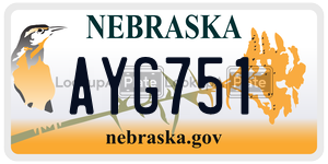 AYG751  license plate in NE