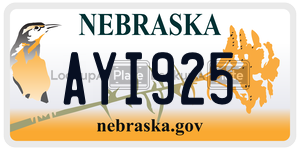 AYI925  license plate in NE