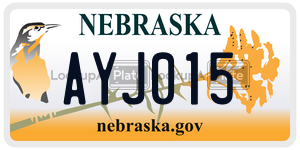 AYJ015  license plate in NE