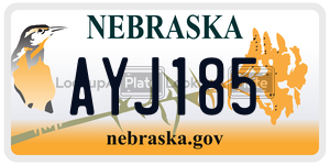 AYJ185  license plate in NE