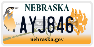 AYJ846  license plate in NE