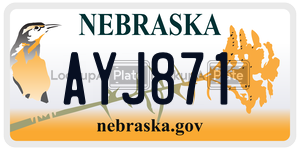 AYJ871  license plate in NE