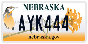 AYK444  license plate in NE