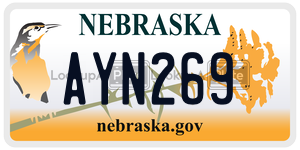 AYN269  license plate in NE
