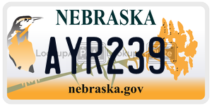 AYR239 license plate in Nebraska