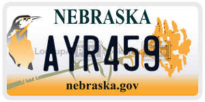AYR459  license plate in NE