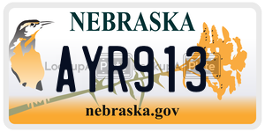AYR913  license plate in NE