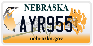 AYR955  license plate in NE