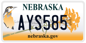 AYS585 license plate in Nebraska