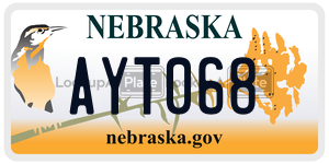 AYT068  license plate in NE