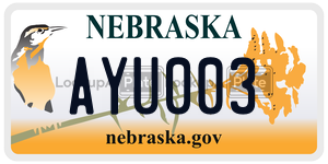AYU003 license plate in Nebraska