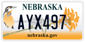 AYX497  license plate in NE