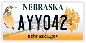 AYY042  license plate in NE