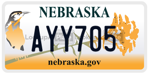 AYY705  license plate in NE