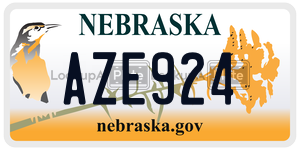 AZE924  license plate in NE