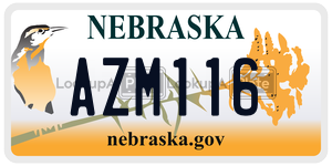 AZM116  license plate in NE