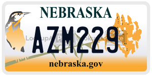 AZM229  license plate in NE