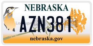 AZN381  license plate in NE