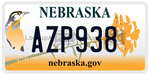 AZP938  license plate in NE