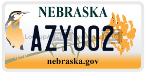AZY002  license plate in NE