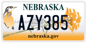AZY385  license plate in NE
