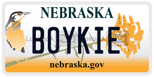B0YKIE  license plate in NE