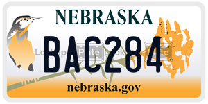 BAC284  license plate in NE