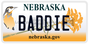 BADDIE  license plate in NE