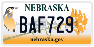 BAF729  license plate in NE