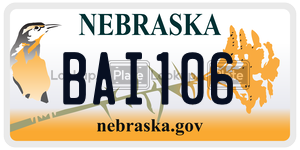 BAI106  license plate in NE