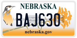 BAJ630  license plate in NE