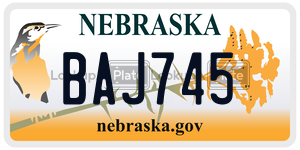 BAJ745  license plate in NE