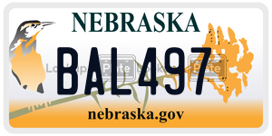 BAL497  license plate in NE