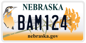 BAM124  license plate in NE
