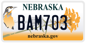 BAM703  license plate in NE