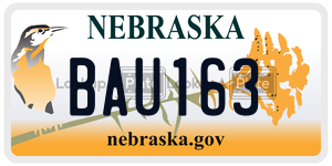 BAU163  license plate in NE