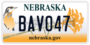 BAV047  license plate in NE