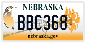 BBC368  license plate in NE