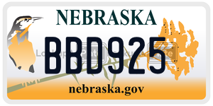 BBD925  license plate in NE