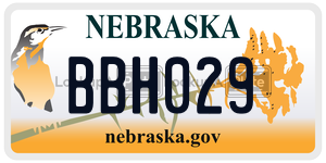 BBH029  license plate in NE
