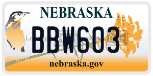 BBW603  license plate in NE