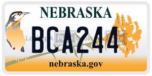 BCA244  license plate in NE