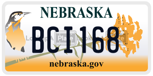 BCI168  license plate in NE