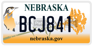 BCJ841  license plate in NE