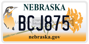 BCJ875  license plate in NE