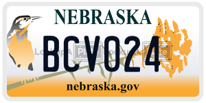 BCV024 license plate in Nebraska