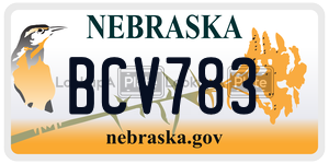 BCV783  license plate in NE