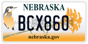 BCX860  license plate in NE