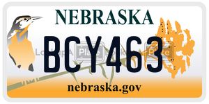 BCY463  license plate in NE