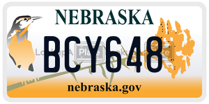 BCY648  license plate in NE